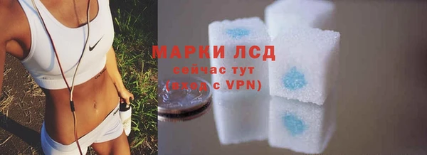 амф Надым