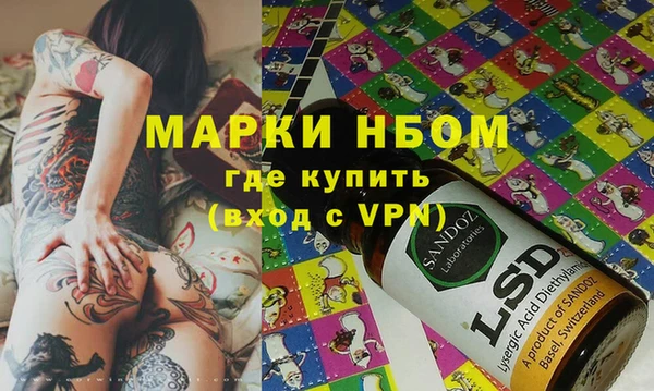 хмурый Тайга