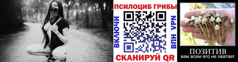 Псилоцибиновые грибы прущие грибы  закладка  Тула 
