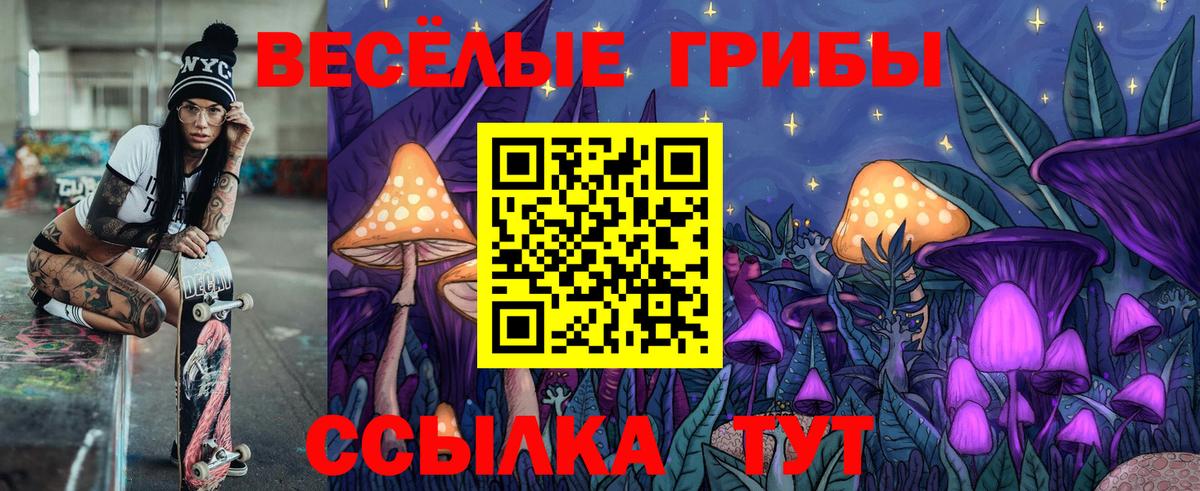 Псилоцибиновые грибы мицелий Тула