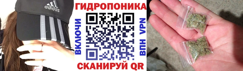 OMG ONION  Тула  Канабис ГИДРОПОН 